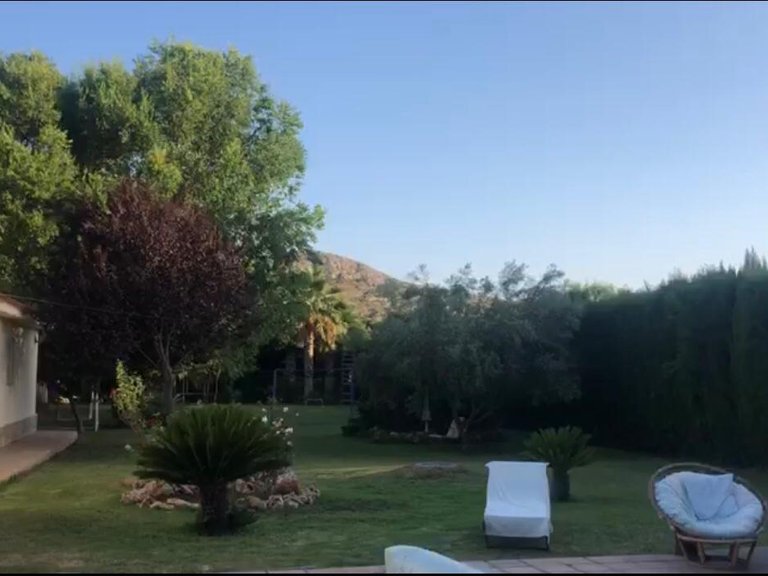 Villa for Sale in Inland Elda, Alicante 7