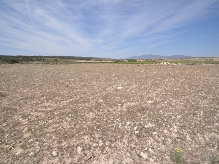 Plot for Sale in Pinoso, Alicante 19