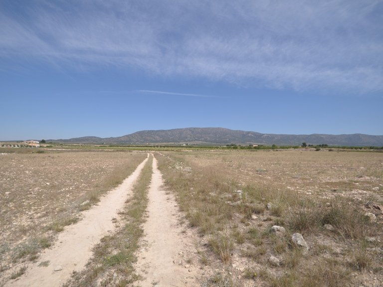 Plot for Sale in Pinoso, Alicante 17