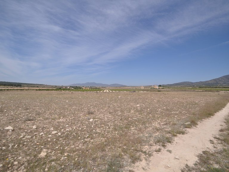 Plot for Sale in Pinoso, Alicante 16