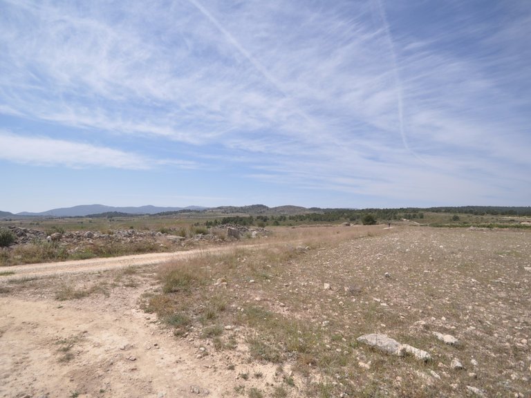Plot for Sale in Pinoso, Alicante 15