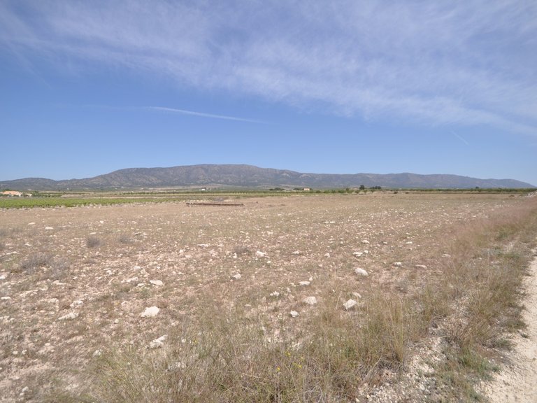 Plot for Sale in Pinoso, Alicante 7