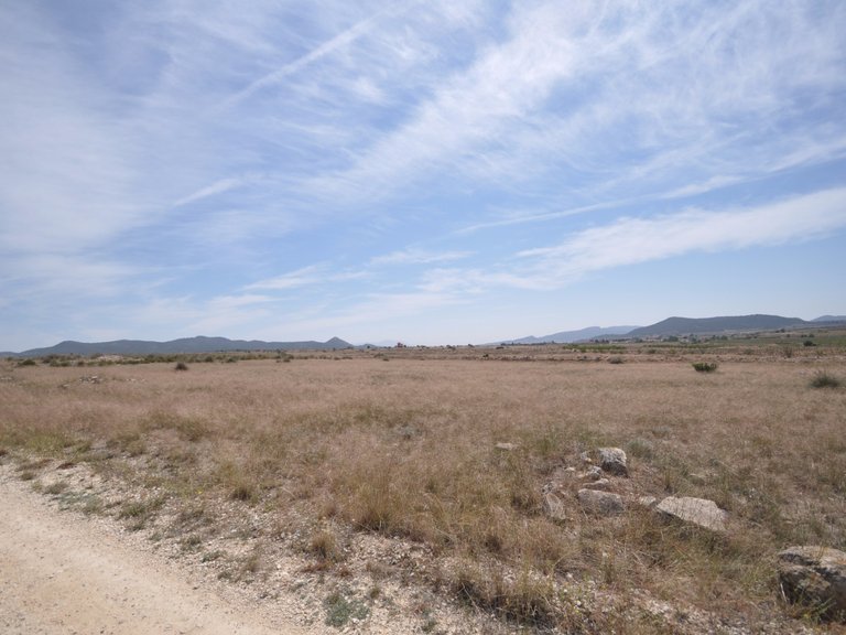 Plot for Sale in Pinoso, Alicante 6
