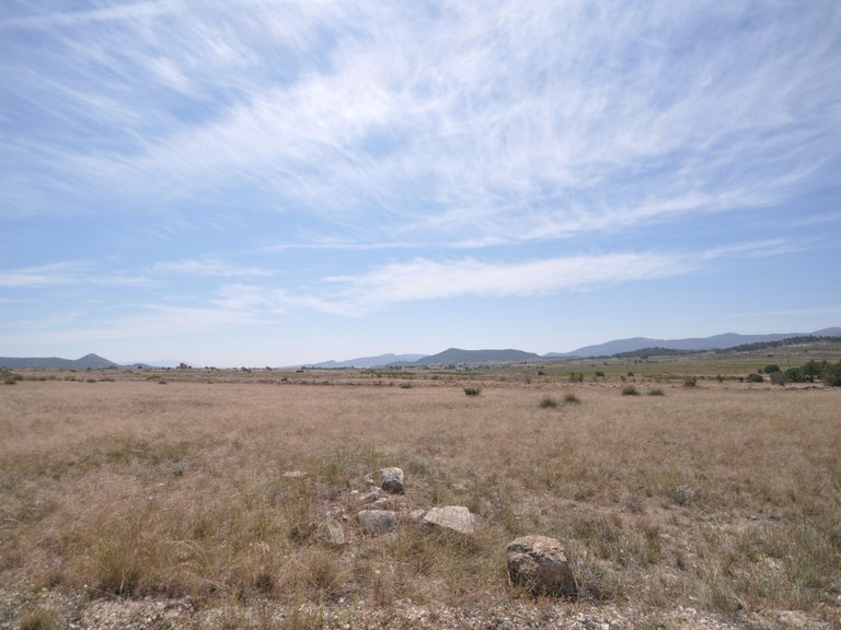 Plot for Sale in Pinoso, Alicante 5