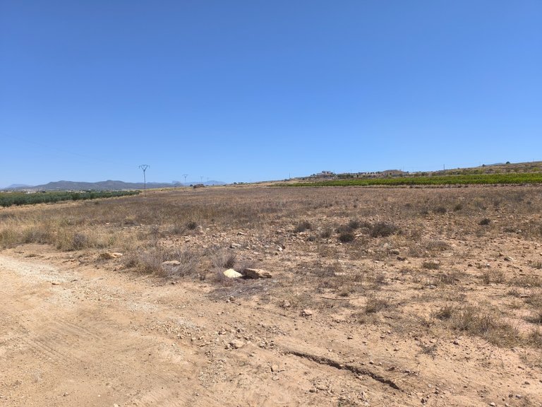 Plot for Sale in Pinoso, Alicante 2