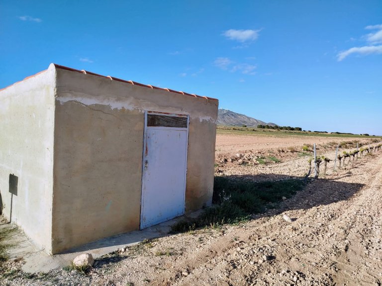 Country House for Sale in Yecla, Murcia 7