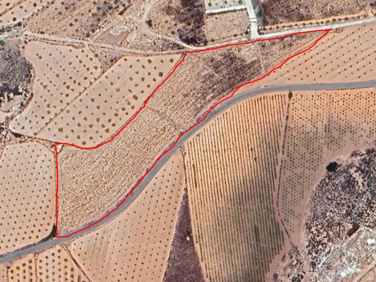 Plot for Sale in Pinoso, Alicante 6