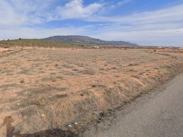 Plot for Sale in Pinoso, Alicante 8