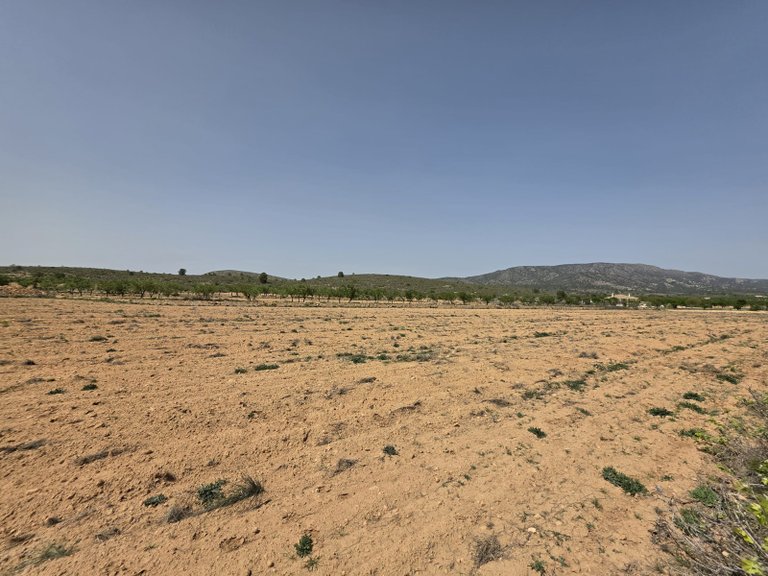 Plot for Sale in Pinoso, Alicante 12