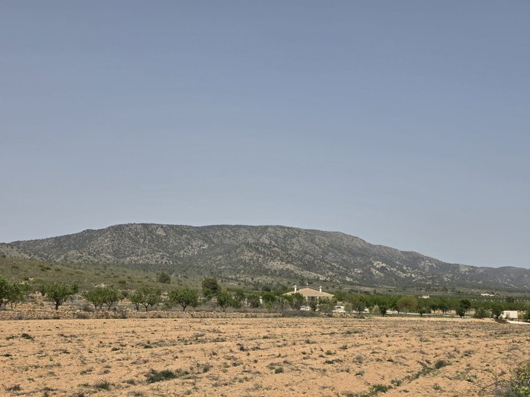 Plot for Sale in Pinoso, Alicante 2