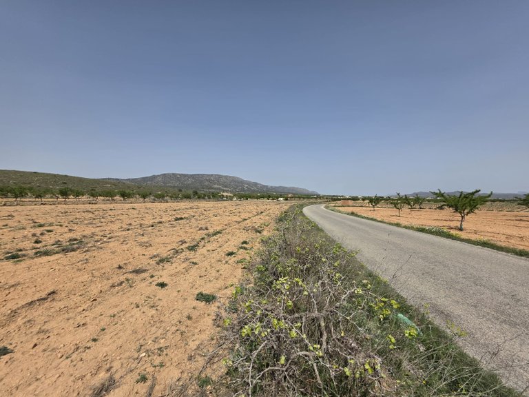 Plot for Sale in Pinoso, Alicante 4