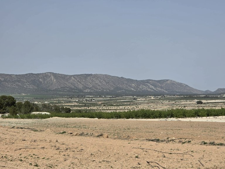 Plot for Sale in Pinoso, Alicante 2