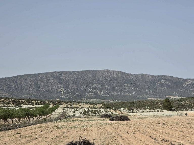 Plot for Sale in Pinoso, Alicante 11