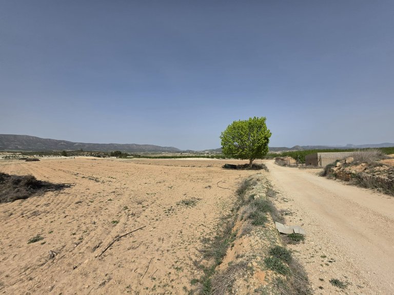 Plot for Sale in Pinoso, Alicante 1