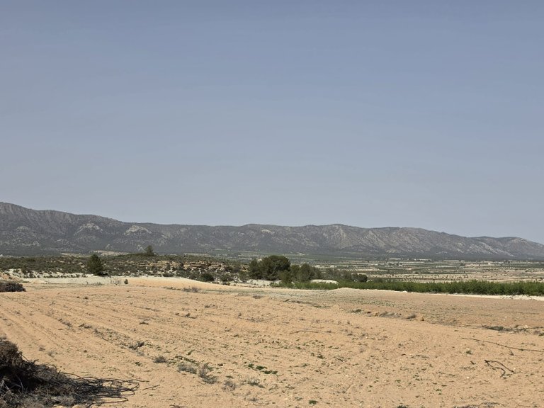 Plot for Sale in Pinoso, Alicante 9