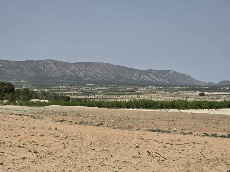Plot for Sale in Pinoso, Alicante 7