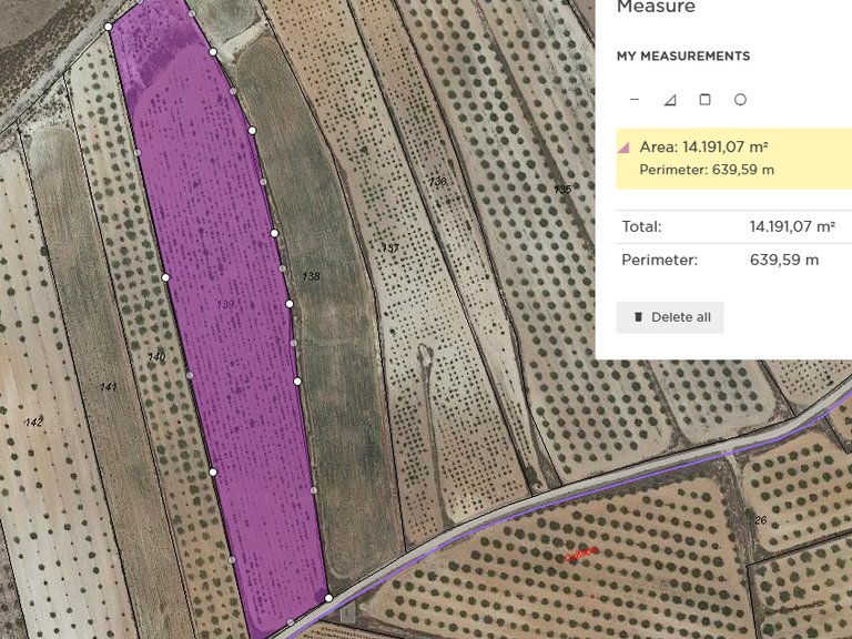 Plot for Sale in Pinoso, Alicante 3