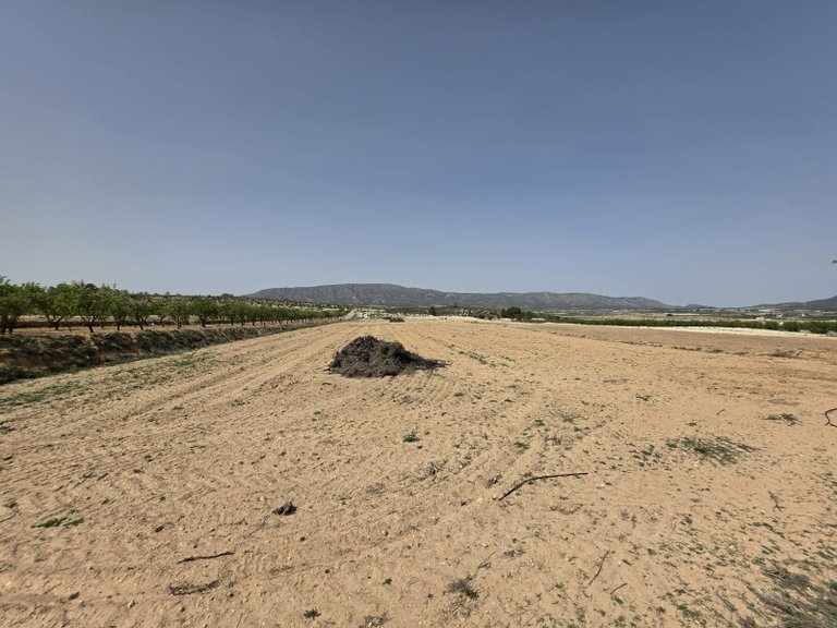 Plot for Sale in Pinoso, Alicante 12