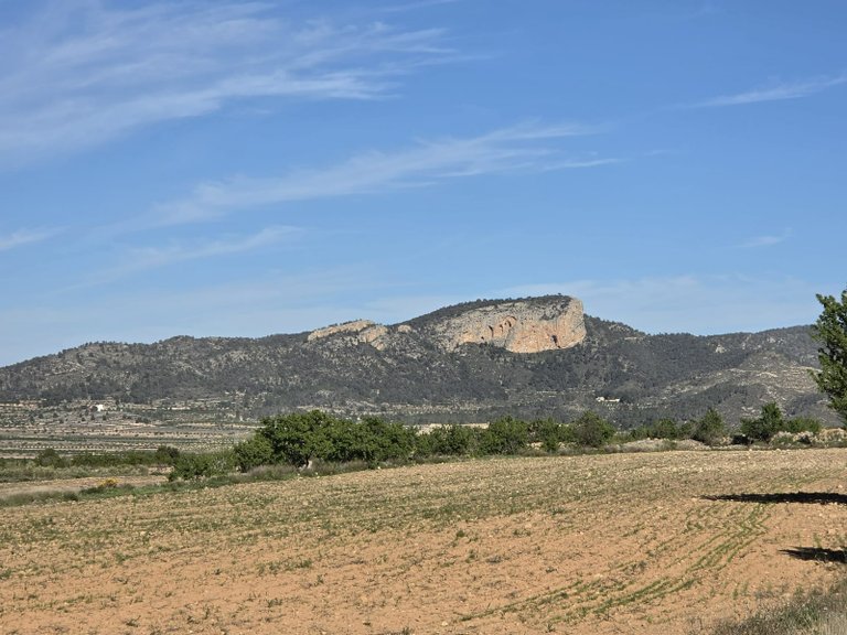 Plot for Sale in Monovar, Alicante 8