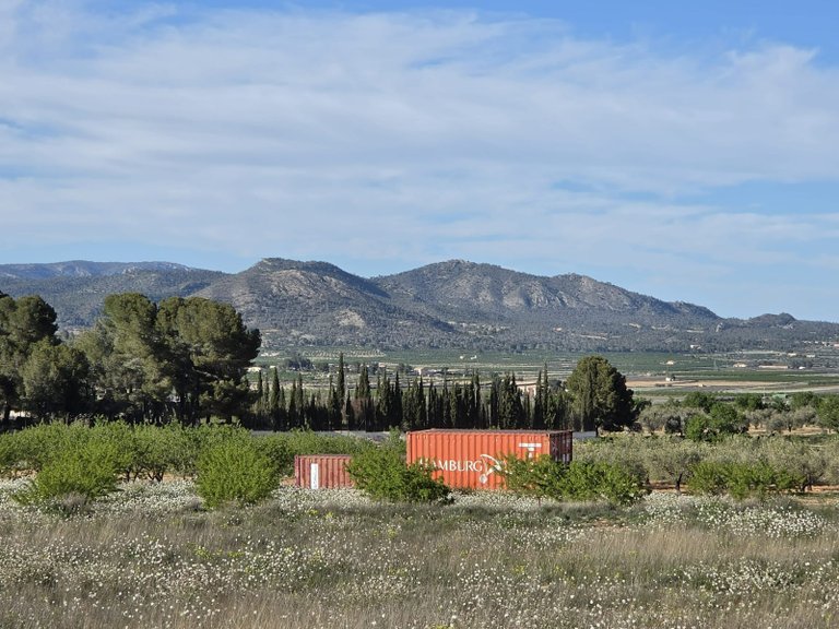 Plot for Sale in Monovar, Alicante 9