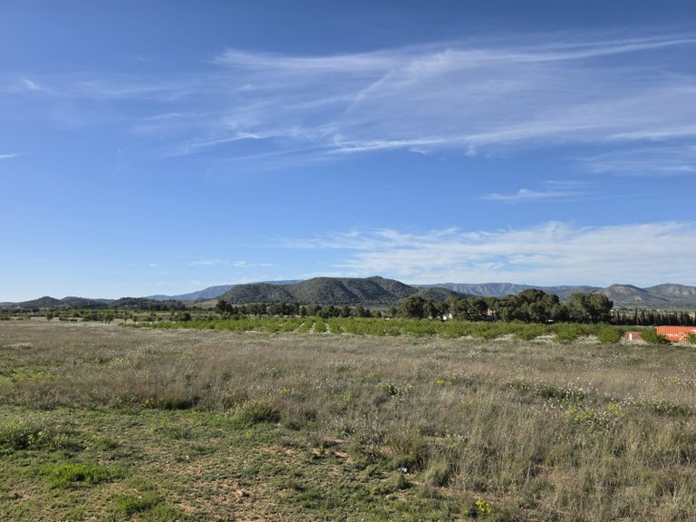 Plot for Sale in Monovar, Alicante 13