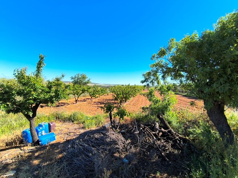 Country House for Sale in Yecla, Murcia 19