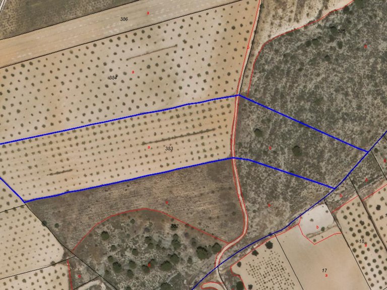 Plot for Sale in Pinoso, Alicante 3