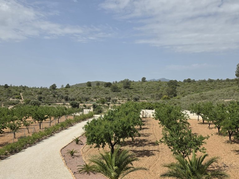Villa for Sale in Pinoso, Alicante 37