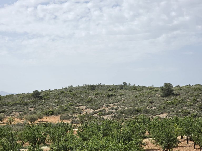 Villa for Sale in Pinoso, Alicante 38