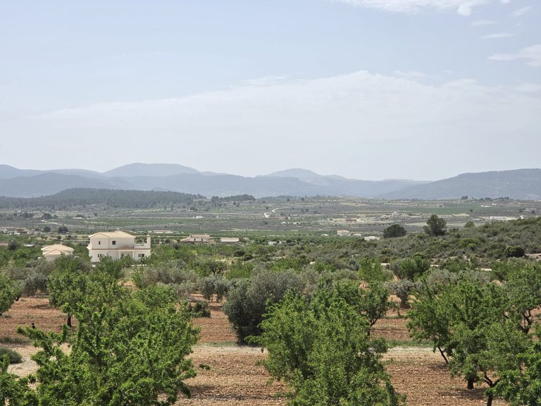 Villa for Sale in Pinoso, Alicante 43