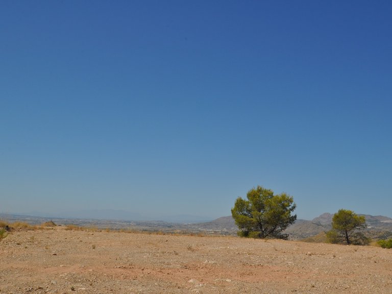 Plot for Sale in Macisvenda, Murcia 3