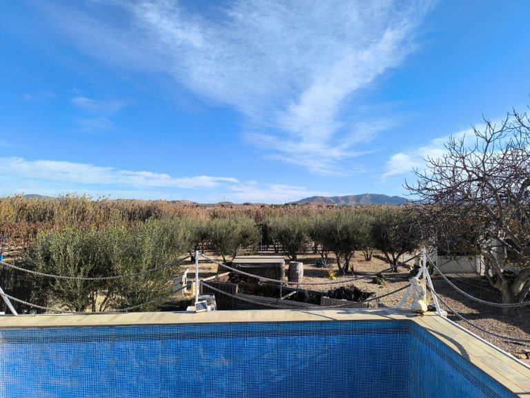 Villa for Sale in Villena, Alicante 40