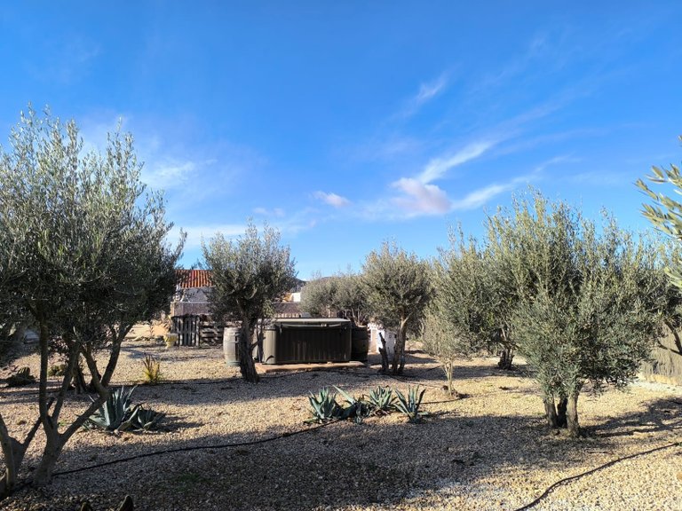 Villa for Sale in Villena, Alicante 45