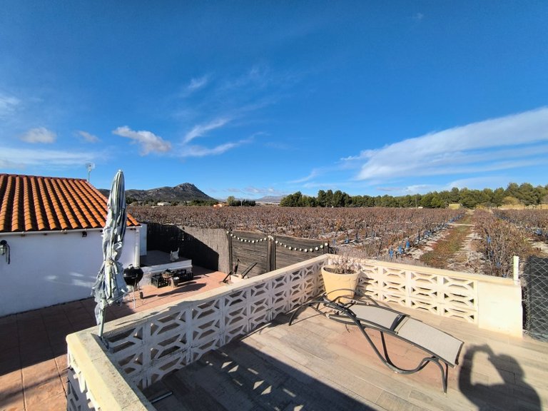 Villa for Sale in Villena, Alicante 38