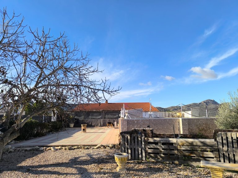 Villa for Sale in Villena, Alicante 42