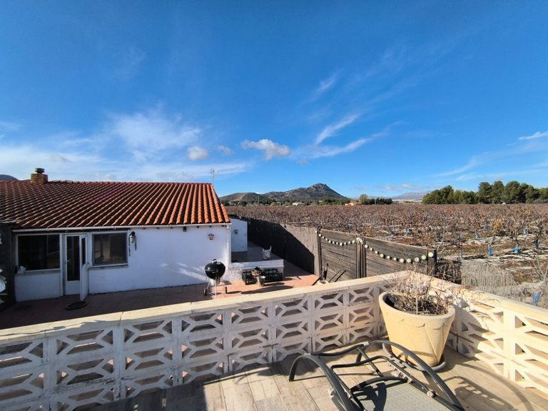 Villa for Sale in Villena, Alicante 39