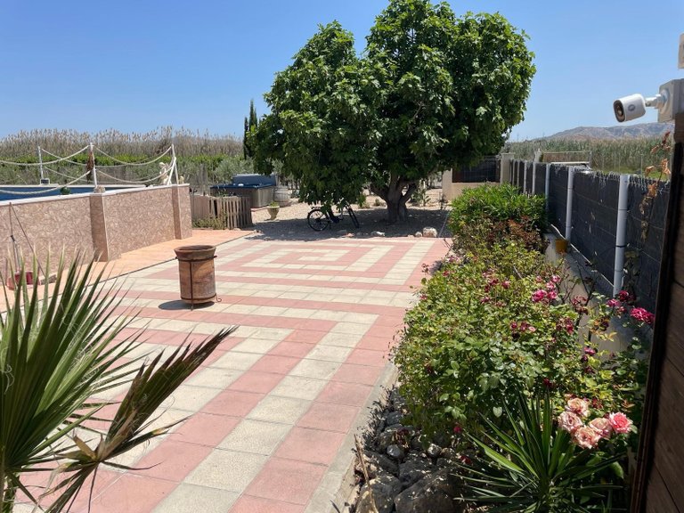 Villa for Sale in Villena, Alicante 6