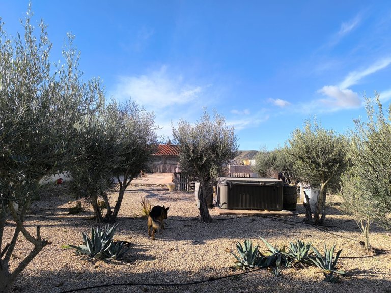 Villa for Sale in Villena, Alicante 48