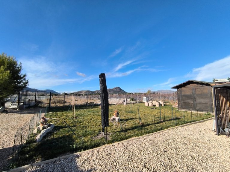 Villa for Sale in Villena, Alicante 49
