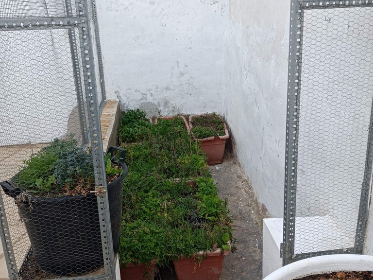 Town House for Sale in Pinoso, Alicante 25