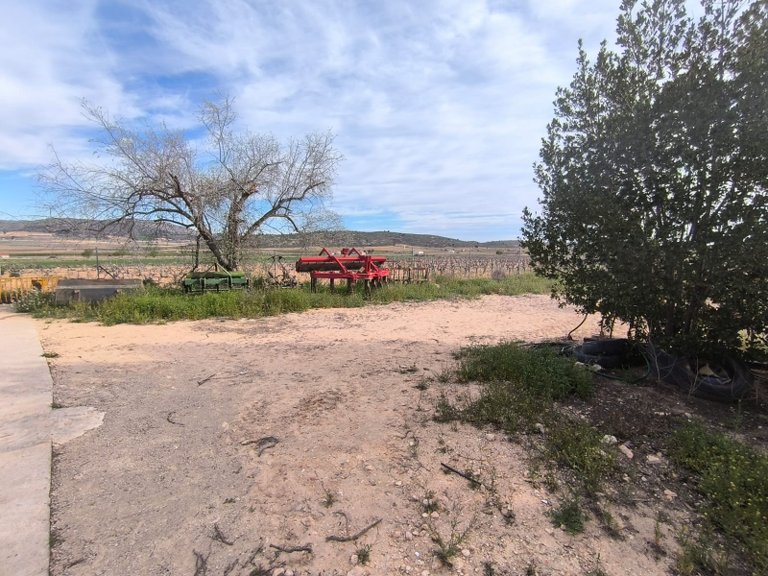Country House for Sale in Yecla, Murcia 18