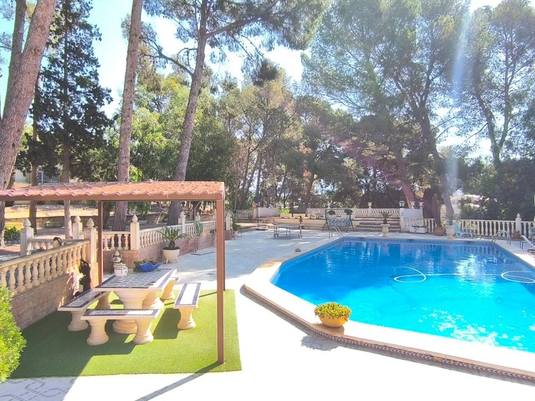Villa for Sale in Monovar, Alicante 39