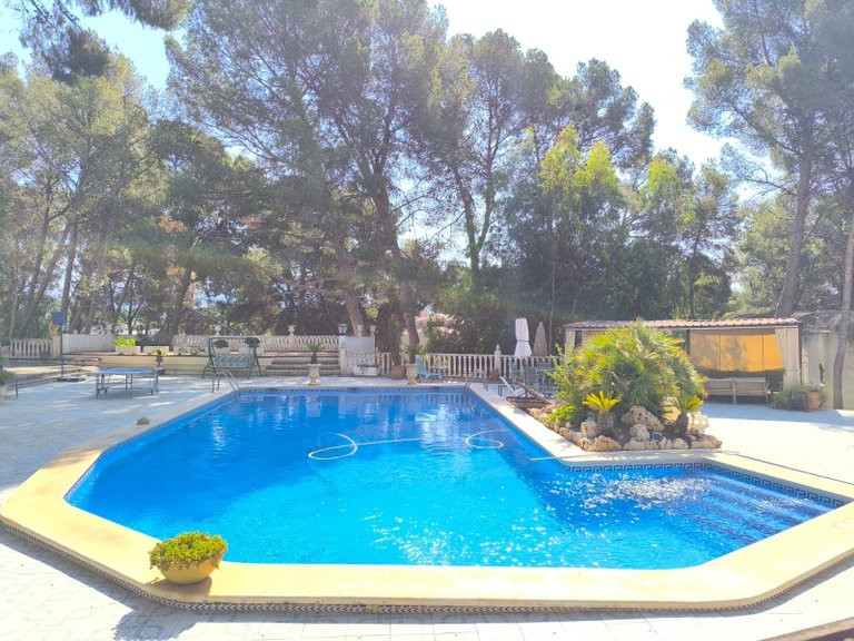 Villa for Sale in Monovar, Alicante 21