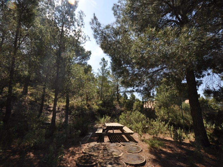 Villa for Sale in Castalla, Alicante 7