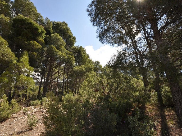 Villa for Sale in Castalla, Alicante 48