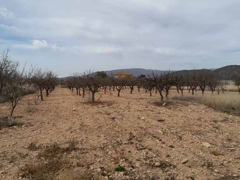 Town House for Sale in Casas Del Señor, Alicante 10
