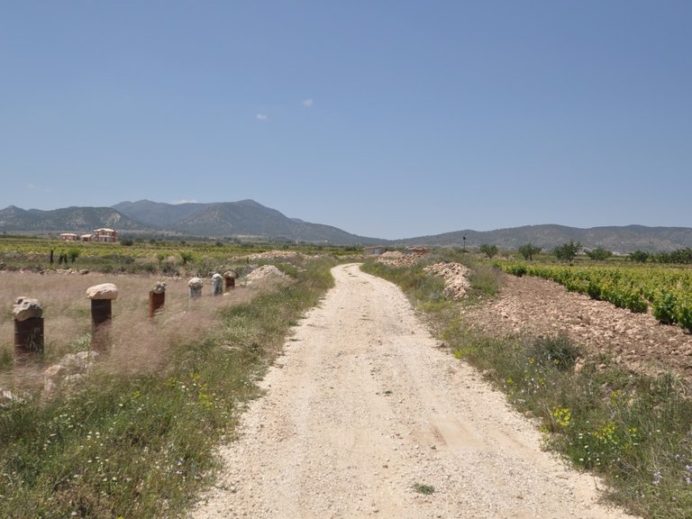 Plot for Sale in Pinoso, Alicante 5