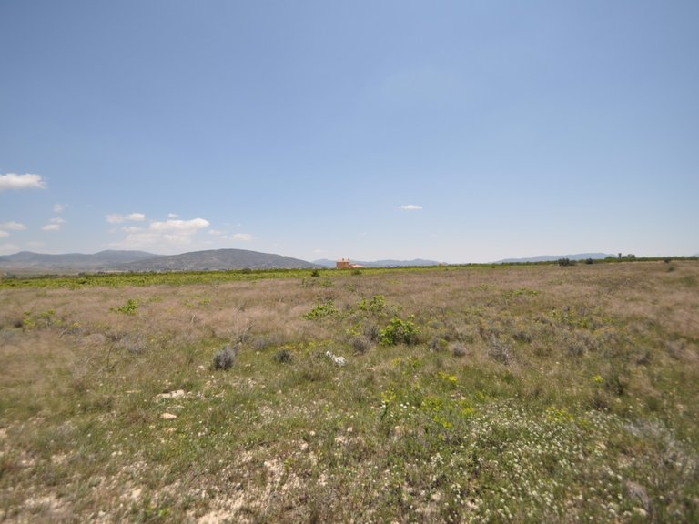 Plot for Sale in Pinoso, Alicante 4
