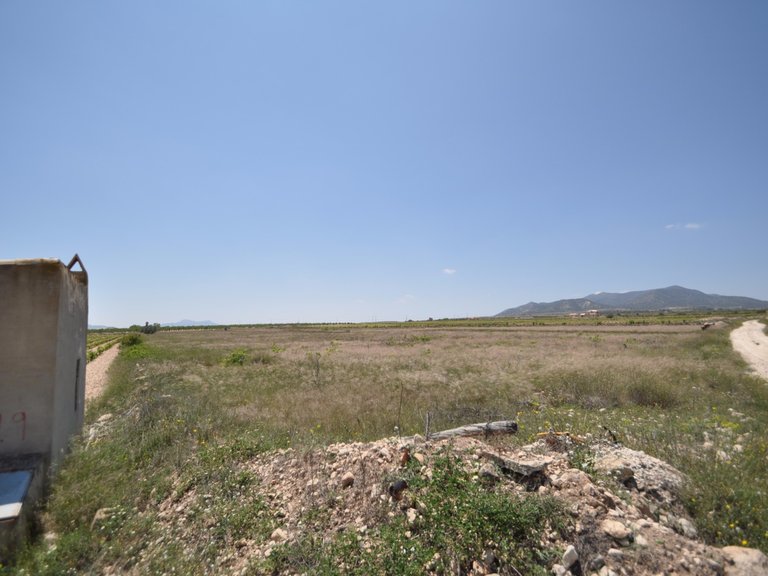 Plot for Sale in Pinoso, Alicante 3
