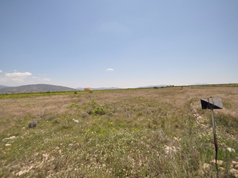 Plot for Sale in Pinoso, Alicante 12